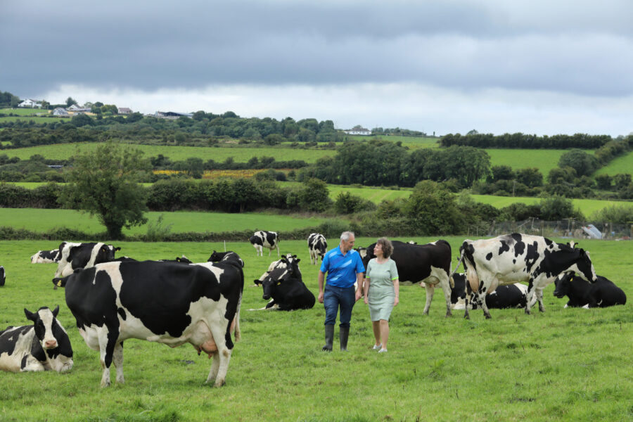 Esker Fields Farm Esker Fields Farm