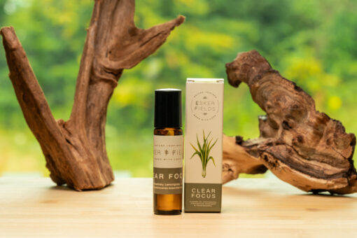 Clear Focus Rollerball